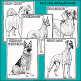 Dog Breeds Research Posters, Coloring Pages - Animal Research Project