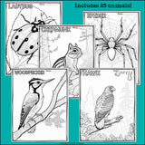 Woodland Animals Research Posters, Coloring Pages - Animal Research Project
