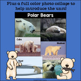Polar Bears Mini Book for Early Readers