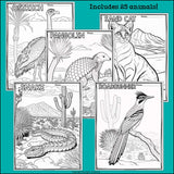 Desert Animals Research Posters, Coloring Pages - Animal Research Project