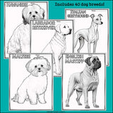 Dog Breeds Research Posters, Coloring Pages - Animal Research Project