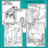 Rainforest Animals Research Posters, Coloring Pages - Animal Research Project