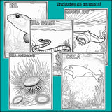 Ocean Animals Research Posters, Coloring Pages - Animal Research Project