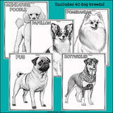 Dog Breeds Research Posters, Coloring Pages - Animal Research Project