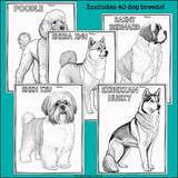 Dog Breeds Research Posters, Coloring Pages - Animal Research Project