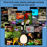 Animal Groups Mini Book for Early Readers