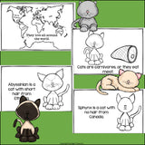 Cats Mini Book for Early Readers