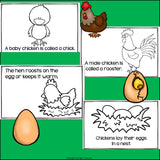 Chickens Mini Book for Early Readers