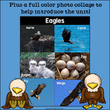 Eagles Mini Book for Early Readers: Bald Eagles