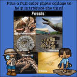 Fossils Mini Book for Early Readers
