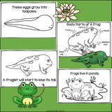 Frogs Mini Book for Early Readers