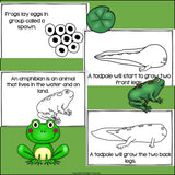 Frogs Mini Book for Early Readers