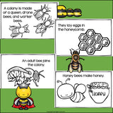 Honey Bees Mini Book for Early Readers