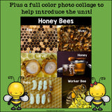 Honey Bees Mini Book for Early Readers