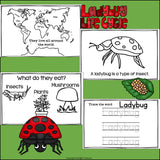 Ladybugs Mini Book for Early Readers