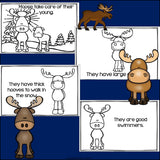 Moose Mini Book for Early Readers