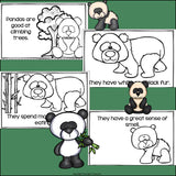 Panda Bears Mini Book for Early Readers
