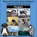 Penguins Mini Book for Early Readers