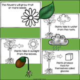Plants Mini Book for Early Readers: Photosynthesis