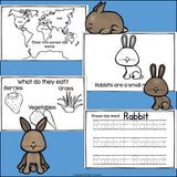 Rabbits Mini Book for Early Readers - Bunny Mini Book
