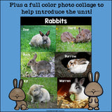 Rabbits Mini Book for Early Readers - Bunny Mini Book