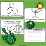 Watermelon Mini Book