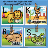 Animal Flash Cards