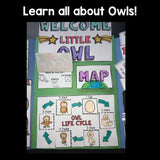 Owls Lapbook for Early Learners