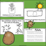 Potato Mini Book for Early Readers