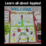Apple Lapbook for Early Learners - Plant Study