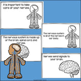 Human Body Systems: Nervous System Mini Book for Early Readers