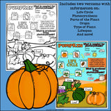 Pumpkin Fact Sheet for Early Readers - FREEBIE