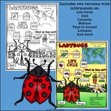 Ladybugs Fact Sheet for Early Readers