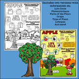 Apple Fact Sheet for Early Readers