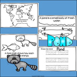 Pond Food Chain Mini Book for Early Readers - Food Chains