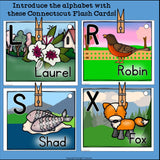 Connecticut Flash Cards