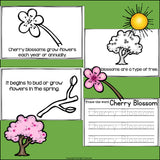 Cherry Blossom Mini Book for Early Readers