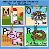 Virginia Flash Cards