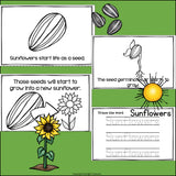 Sunflowers Mini Book for Early Readers