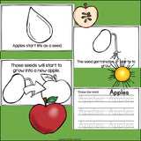 Apples Mini Book for Early Readers