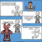 Human Body Systems: Muscular System Mini Book for Early Readers