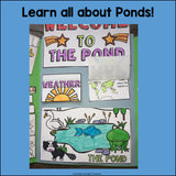 Pond Lapbook for Early Learners - Animal Habitats