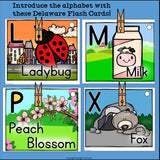 Delaware Flash Cards