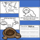 Walruses Mini Book for Early Readers - Walrus