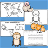 Owls Mini Book for Early Readers
