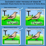 Costa Rica Flash Cards