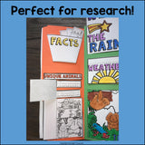 Rainforest Lapbook for Early Learners - Animal Habitats