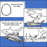 Sharks Mini Book for Early Readers