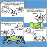 Marsh Food Chain Mini Book for Early Readers - Food Chains