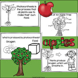 Apples Mini Book for Early Readers